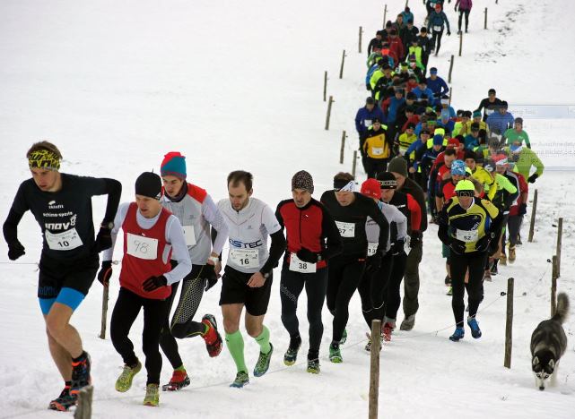 Schobersteinlauf1_ 2017